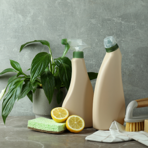 Eco-Friendly Cleaning Training